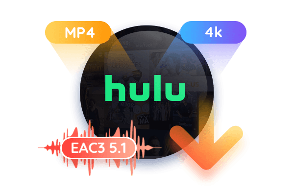 Hulu-Videos als HD720p herunterladen