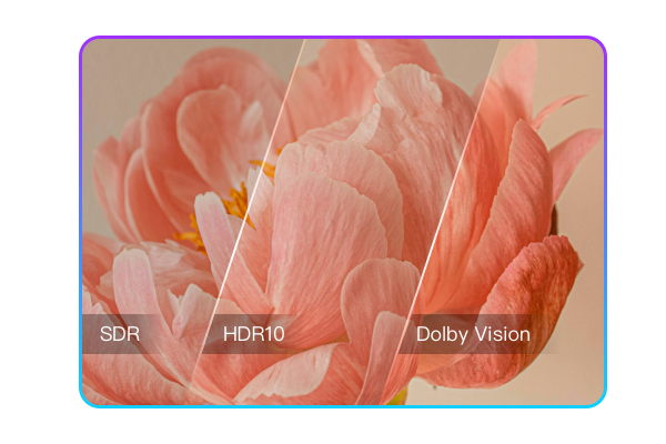 SDR zu HDR/Dolby Vision konvertieren