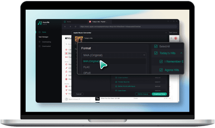 Customize the output format and audio quality