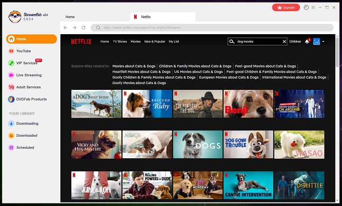 hundefilme auf netflix:Bonus Download von Hundefilmen auf Netflix zum Offline-Anschauen