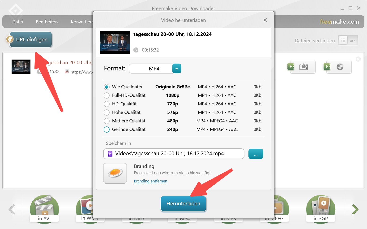 Download-Schritt mit Freemake Video Downloader