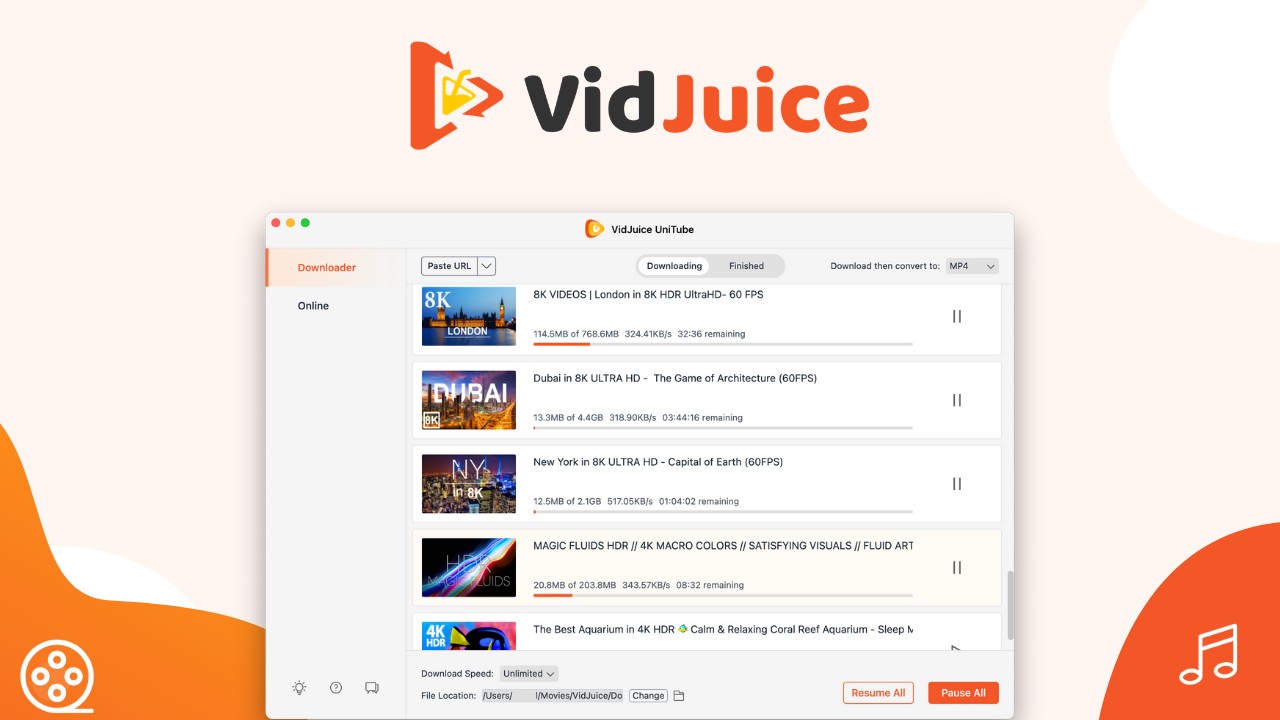 VidJuice UniTube