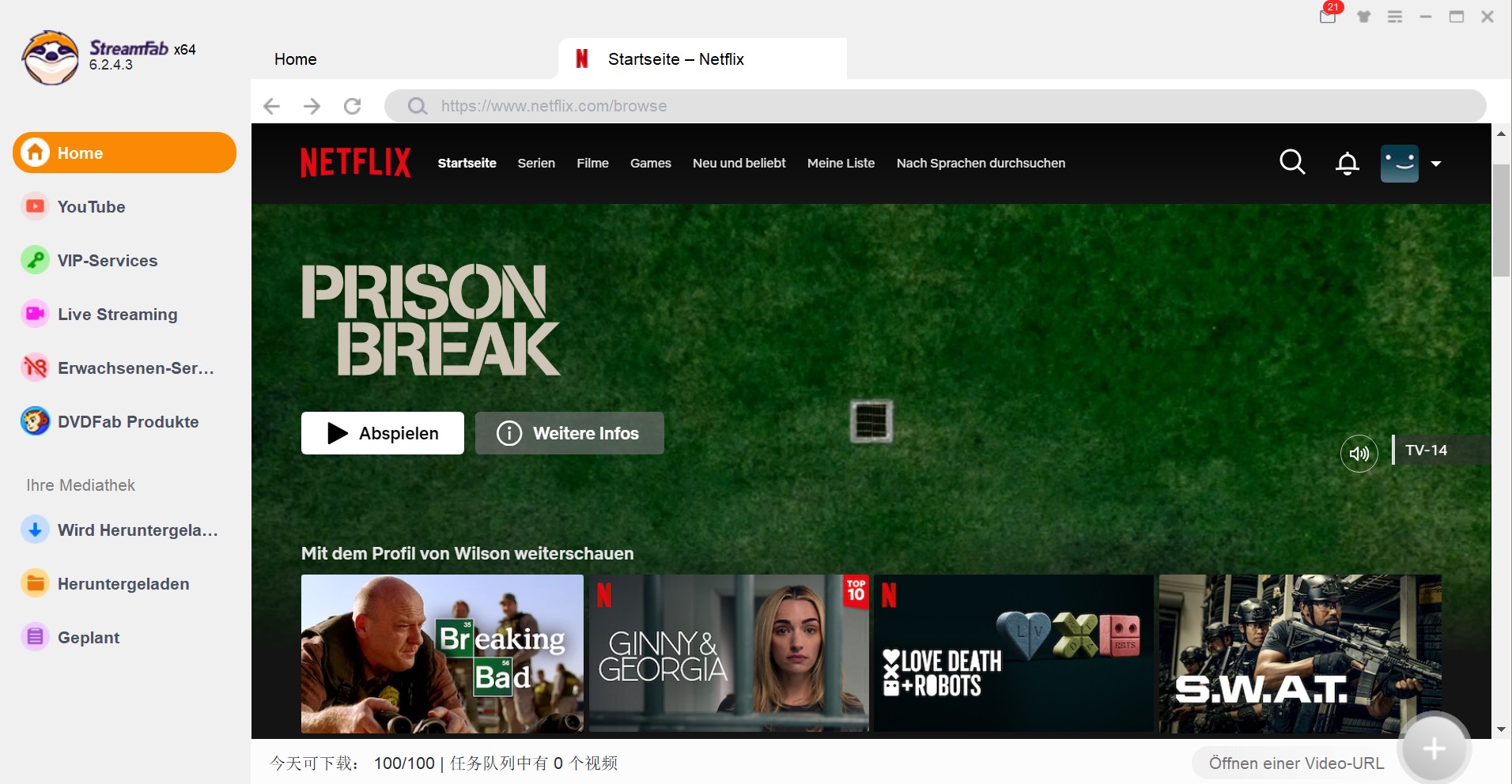 samemovie netflix video downloader alternative
