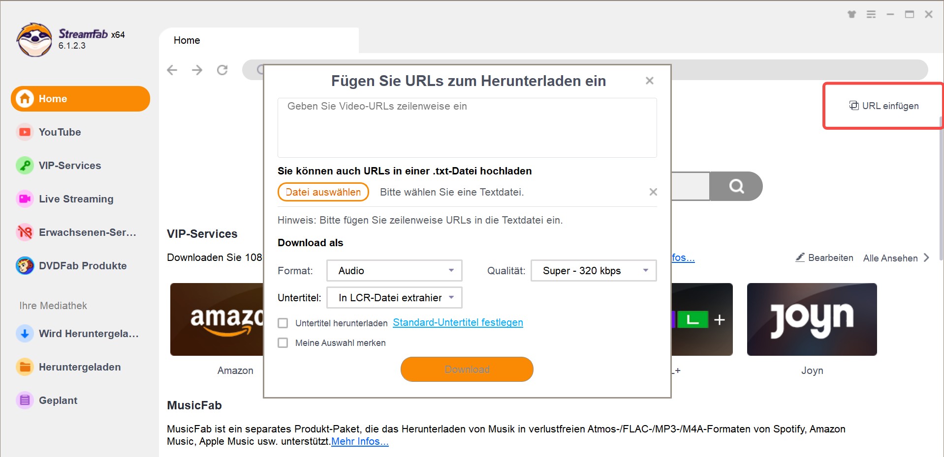 YouTube in MP4 konvertieren - URL einfügen