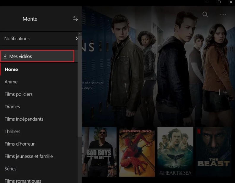 Guide détaille sur Télécharger des films Netflix avec l'application Netflix