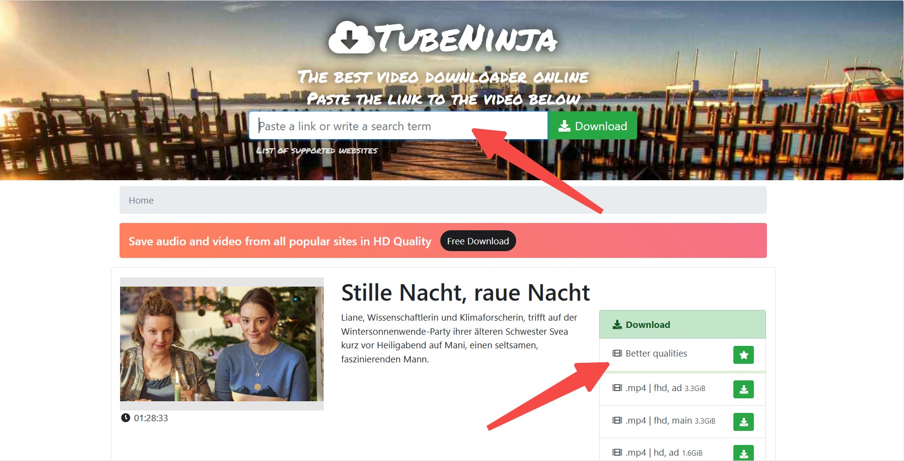 Download-Schritte mit TubeNinJa.Net