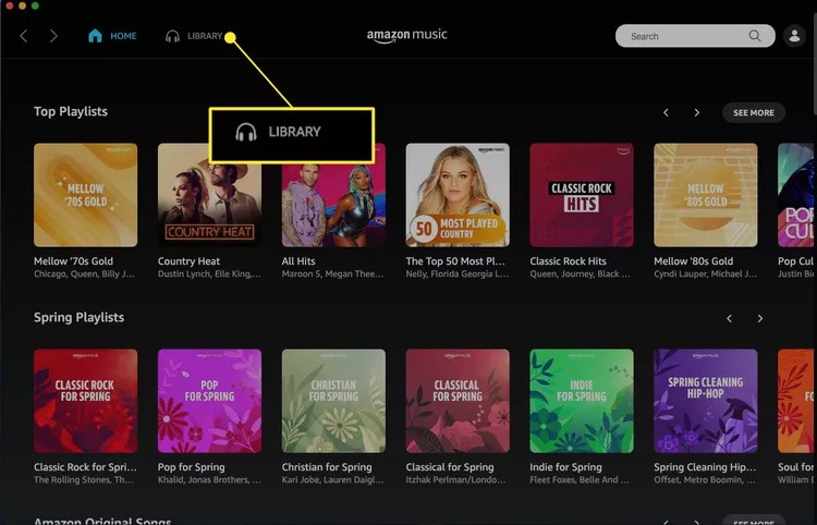 navigate to the Amazon Music Library