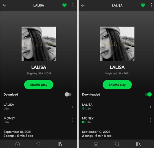 download Spotify track on your phone