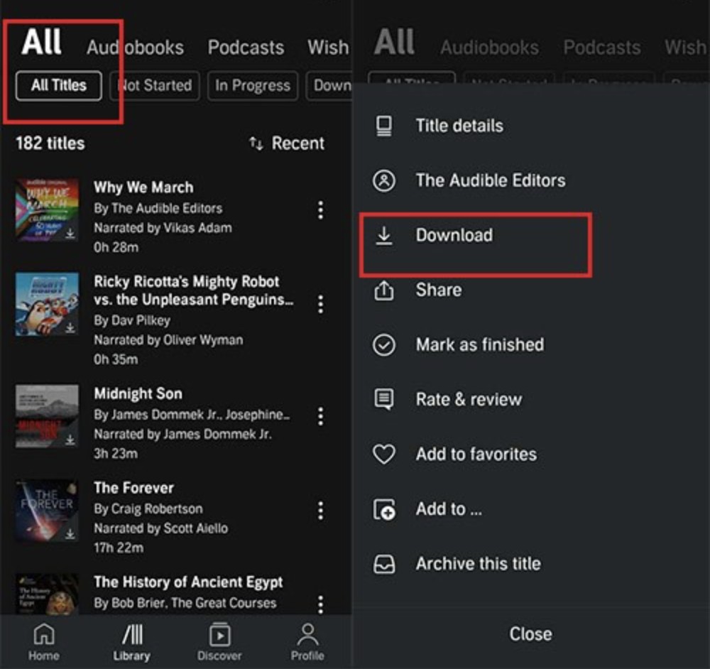 How To Listen To Audible Offline on iPhone/Anroid