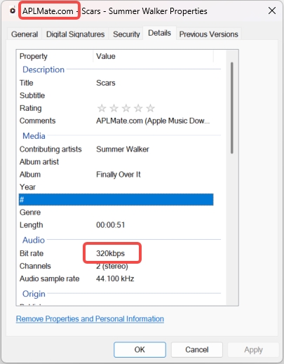 aplmate-downloaded-songs-watermark