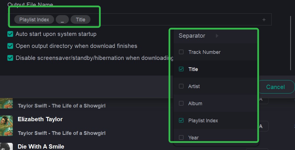 set output file name in musicfab