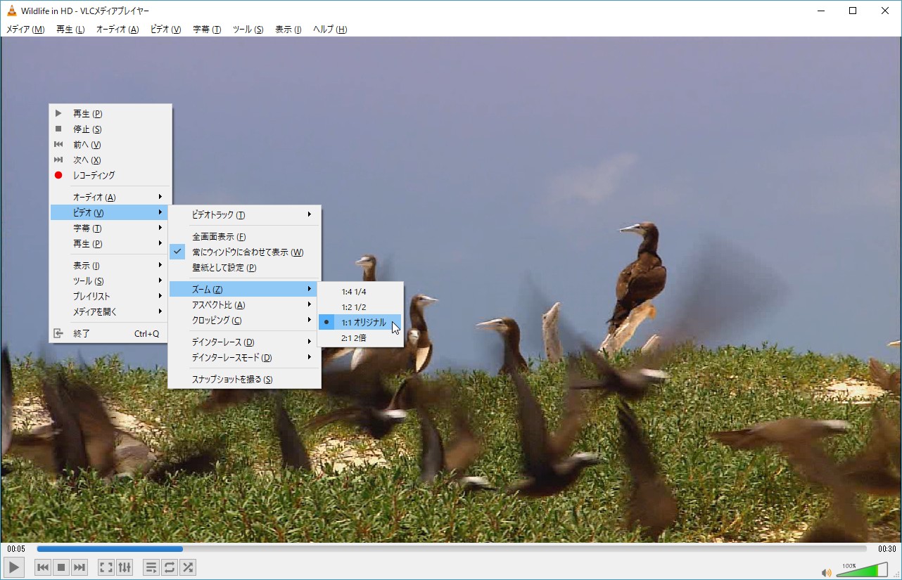 VLC
