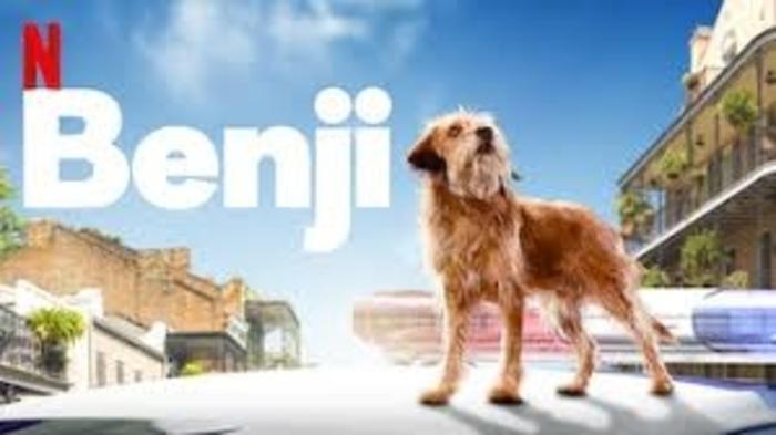 Netflix上最好的兒童電影：8) Benji (2018)