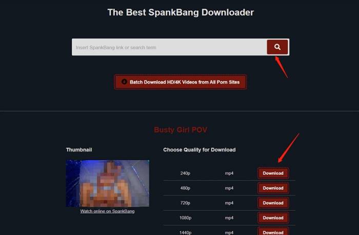 SpankBang download, SpankBang downloader, download SpankBang, SpankBang video downloader:Methode 6: 3 Online SpankBang Video Downloader