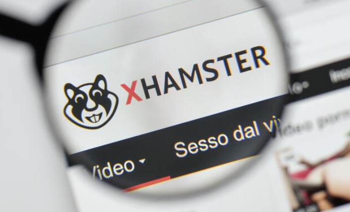 Die besten Xhamster Downloader zum Xhamster Video Download 2024 [PC/Mac, Online, iPhone, Android, Online]