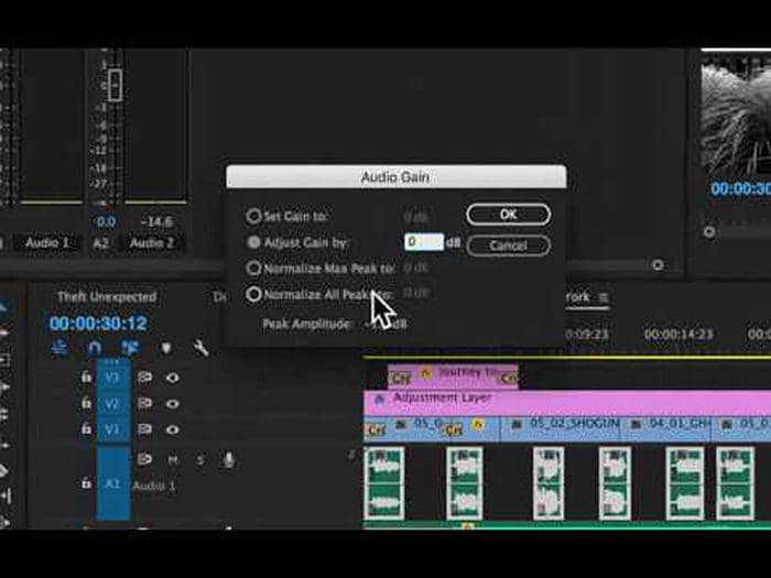 audio normalisieren:TEIL 3. Wie kann man Audio in Premiere normalisieren?