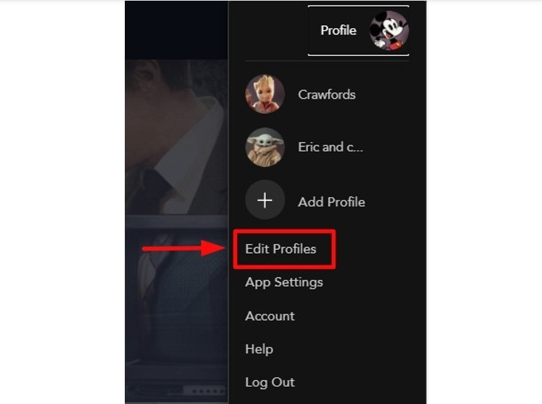 disney plus account settings:In the Profile