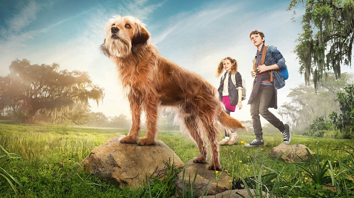 dog movies on netflix:9. Benji