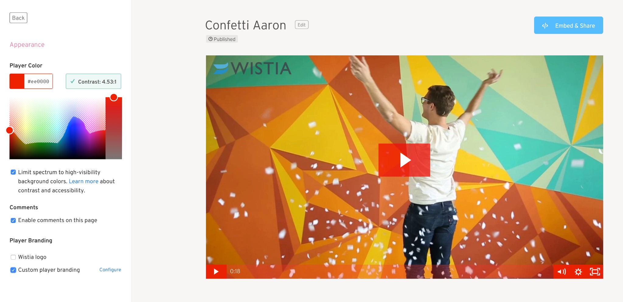 Download Wistia Video:Video Player Customization