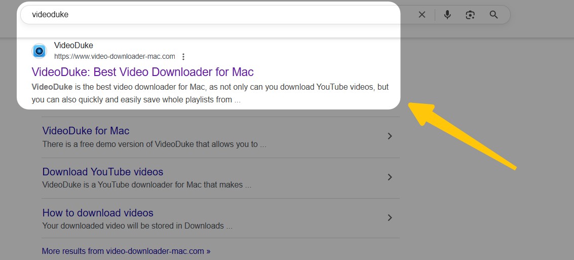 how to use videoduke: step 1