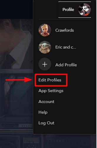 disney plus account settings:In the Profile