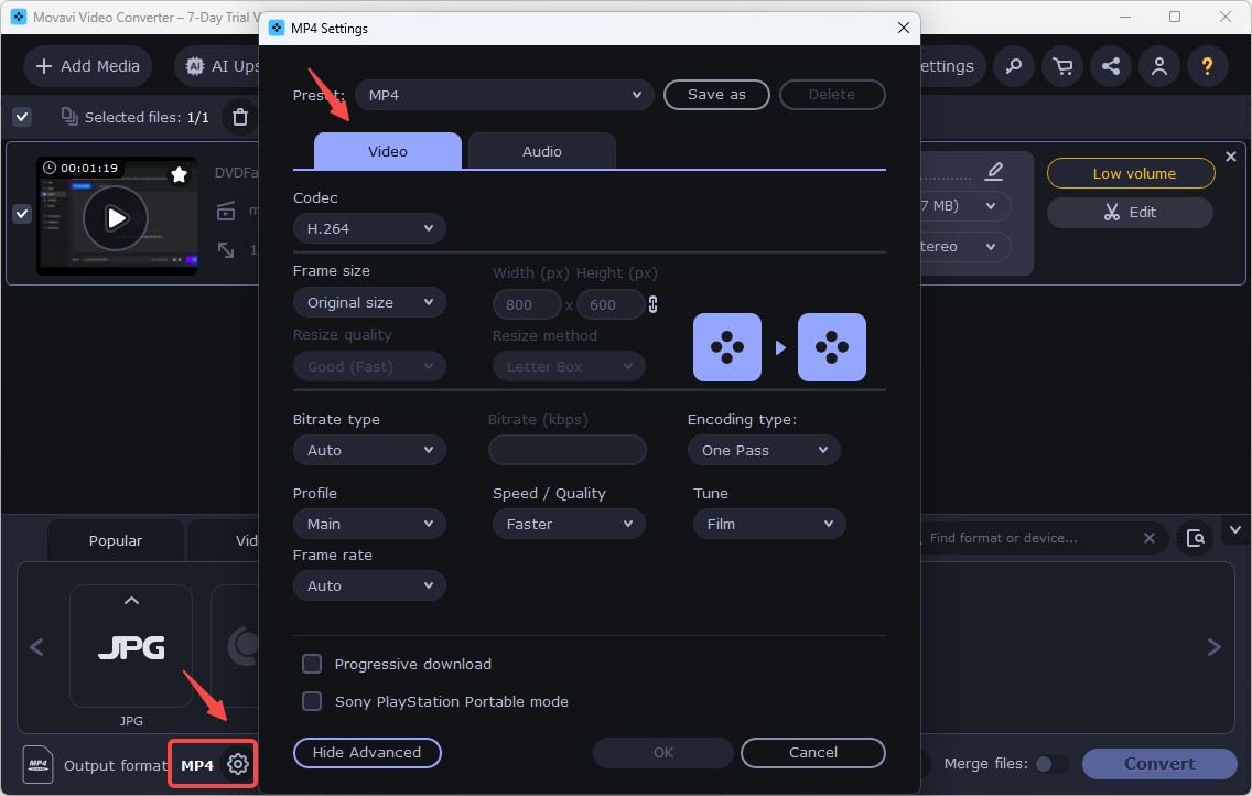 How to use Movavi DVD to MP4 converter
